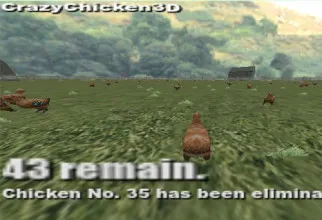 Crazy Chicken 3D