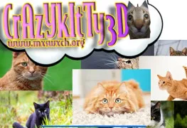 /data/image/game/crazy-kitty-3d.jpg